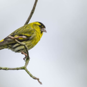 Untitled (92 Of 118).jpg